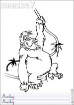 coloriage-singe-2